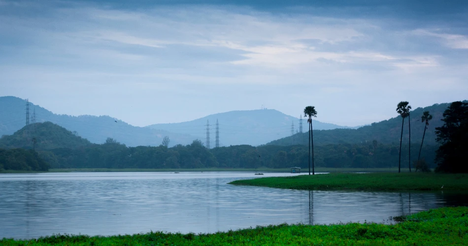 A Day at Powai Lake: Serenity in the Middle of Mumbai