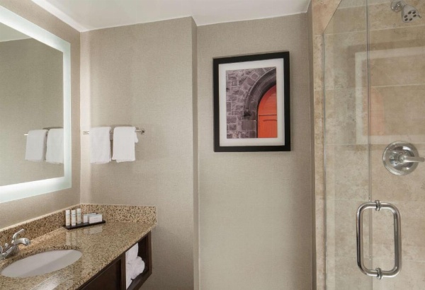 Embassy Suites by Hilton Philadelphia Airport image 14